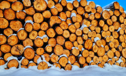 Featured image of post Logrus: Master Structured Logging in Go with 25,712 Stars