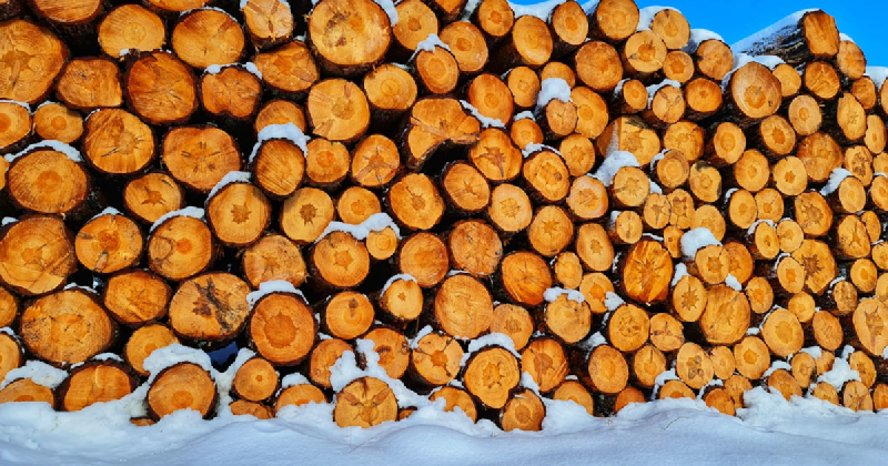 Featured image of post Logrus: Master Structured Logging in Go with 25,712 Stars