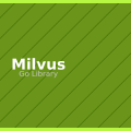 Milvus: Unlock High-Performance Vector Search in Go